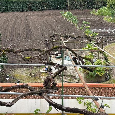 Casinha da Avó Rosário Apartamento Juncal  Exterior foto