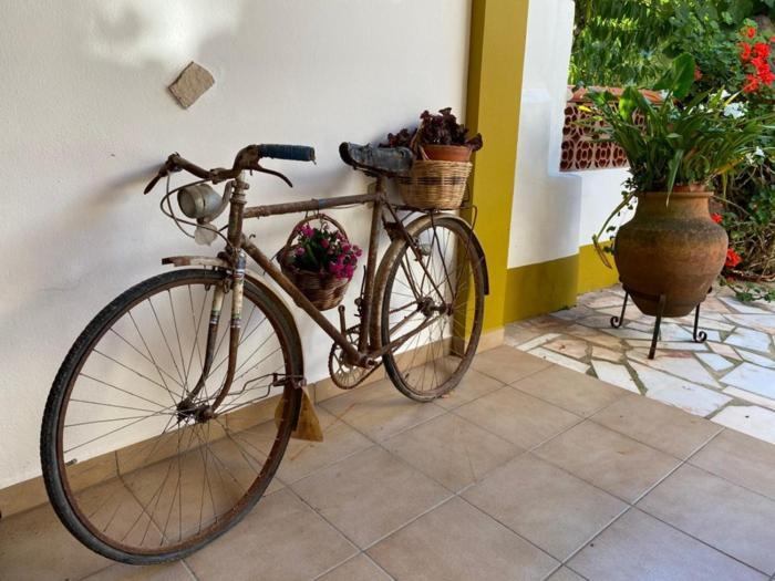 Casinha da Avó Rosário Apartamento Juncal  Exterior foto