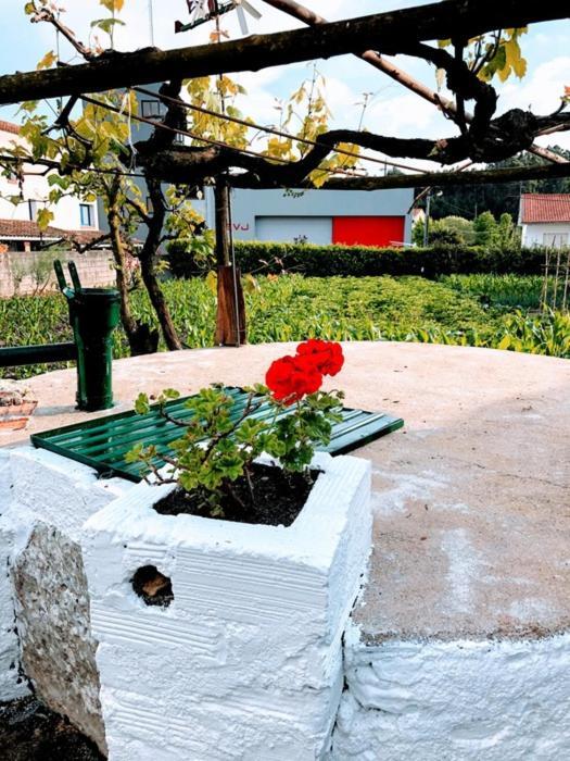 Casinha da Avó Rosário Apartamento Juncal  Exterior foto